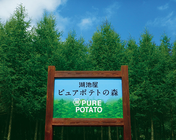 湖池屋ピュアポテトの森　PUREPOTATO